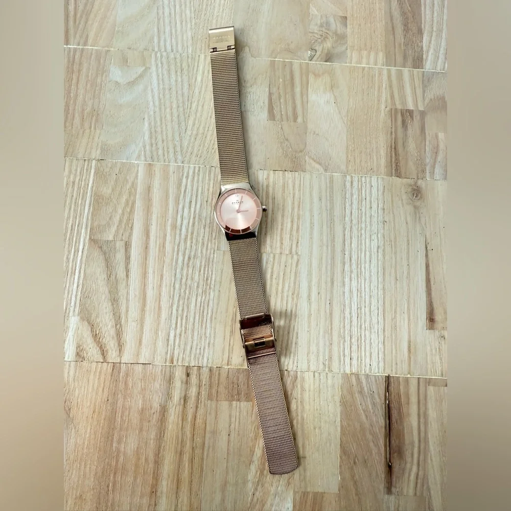 Skagen brand model